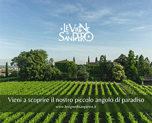 Le Vigne di San Pietro