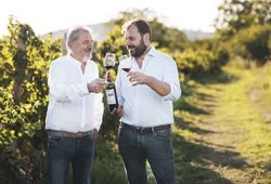 CANTINA FASOLI GINO. Dal 1925 a oggi, un secolo di vino