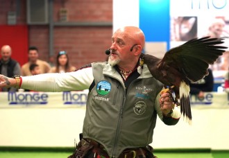 GRANDE SUCCESSO PER WOW MODENA 2023