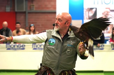 WOW Modena 2023 - Falconeria 4 12 03